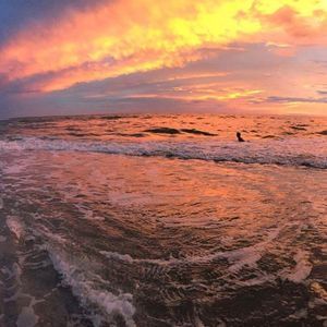 Meet your Posher, Corinne